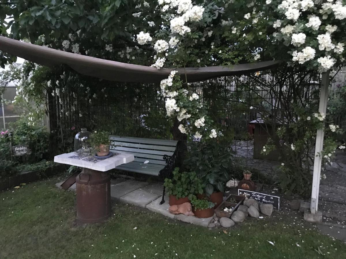 B&B Bland Ormbunkar Och Rosor Falkenbergs Eksteriør billede