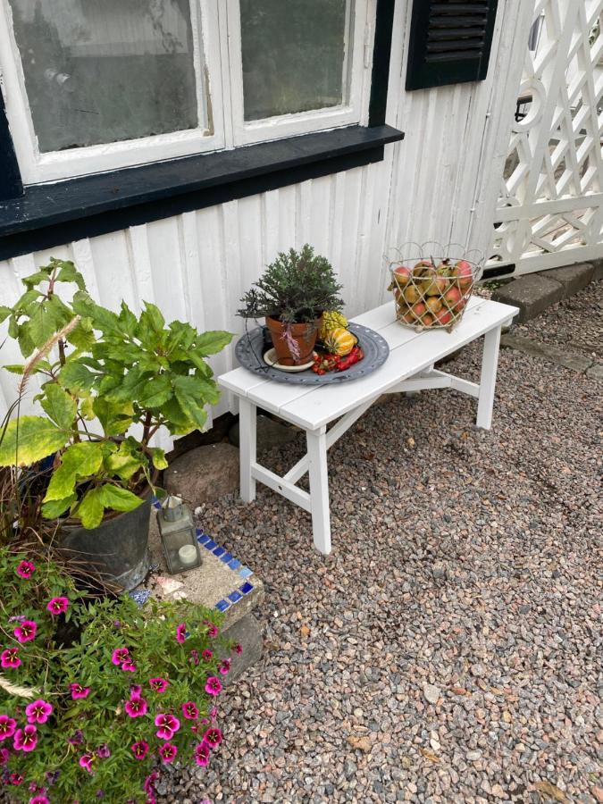 B&B Bland Ormbunkar Och Rosor Falkenbergs Eksteriør billede